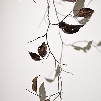 fallen leaves -corrosion- 「ブナ / F, crenata」2015年制作　鉄板・丸鋼 / 鍛金・ガス溶接・腐食